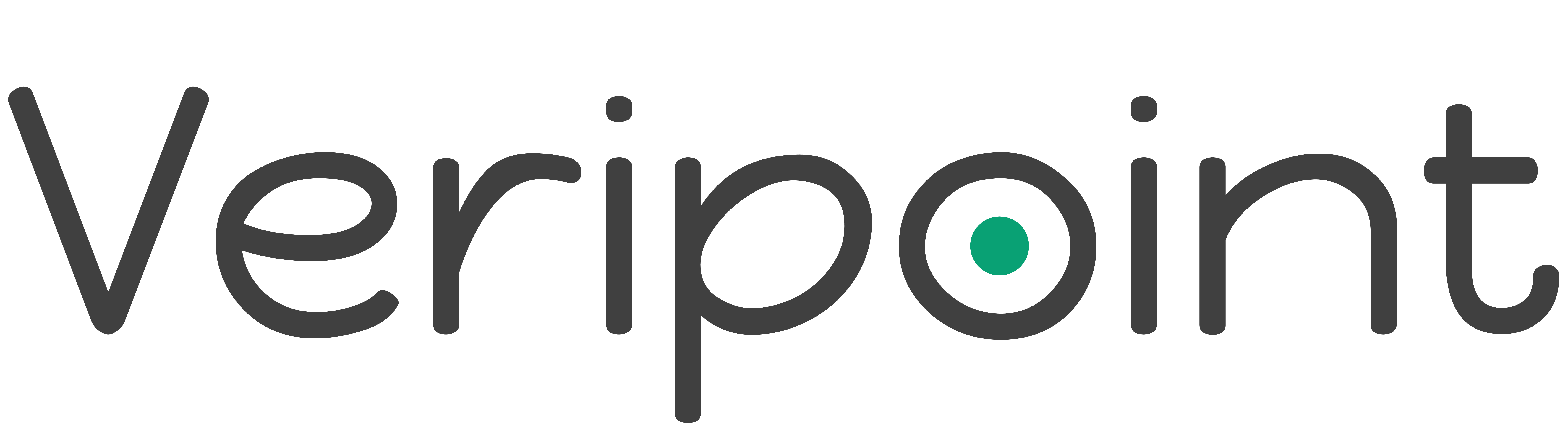 Veripoint Logo